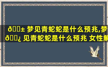 🐱 梦见青蛇蛇是什么预兆,梦 🌿 见青蛇蛇是什么预兆 女性解梦